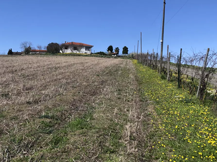 Immagine 4 di Villa in vendita  in Strada Collina Ronzone   14/A a Casale Monferrato