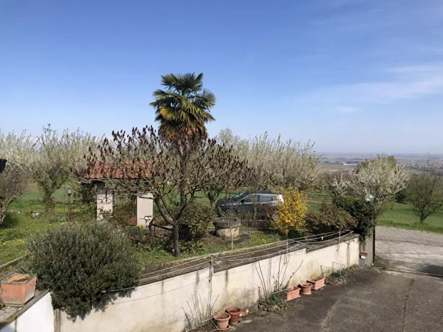 Immagine 11 di Villa in vendita  in Strada Collina Ronzone   14/A a Casale Monferrato