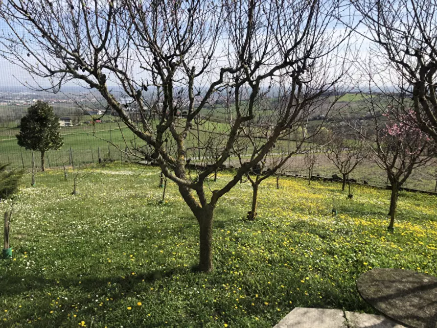 Immagine 15 di Villa in vendita  in Strada Collina Ronzone   14/A a Casale Monferrato