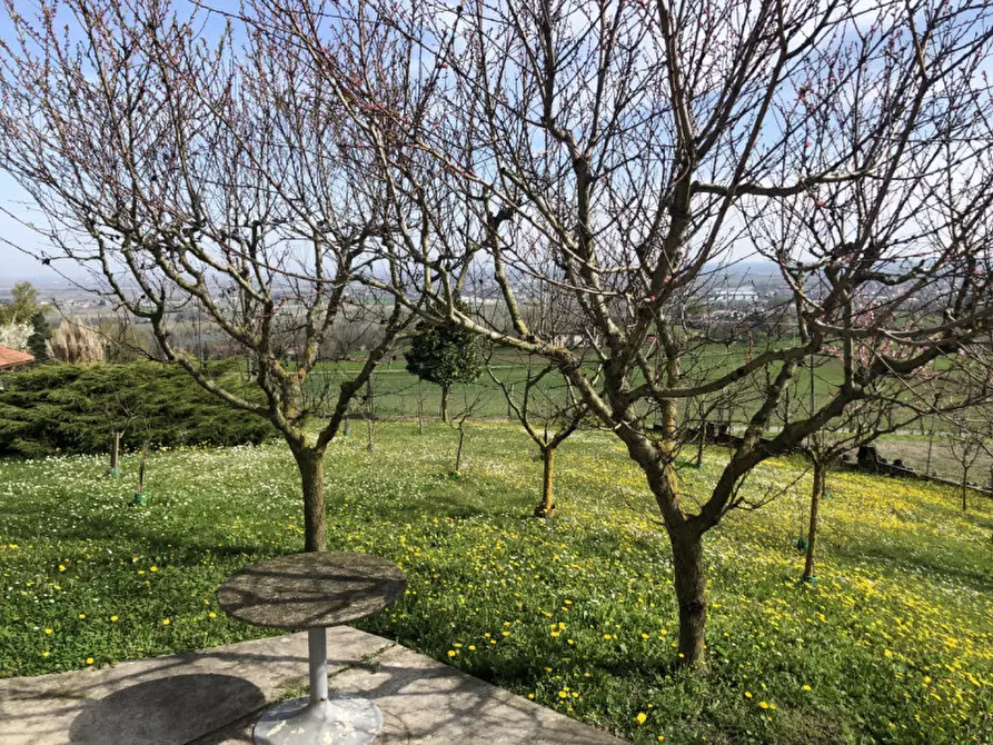 Immagine 20 di Villa in vendita  in Strada Collina Ronzone   14/A a Casale Monferrato