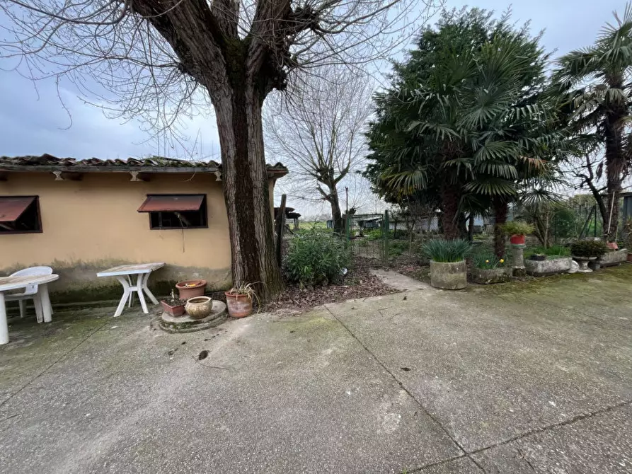 Immagine 3 di Casa indipendente in vendita  in Via Roma a Albignasego