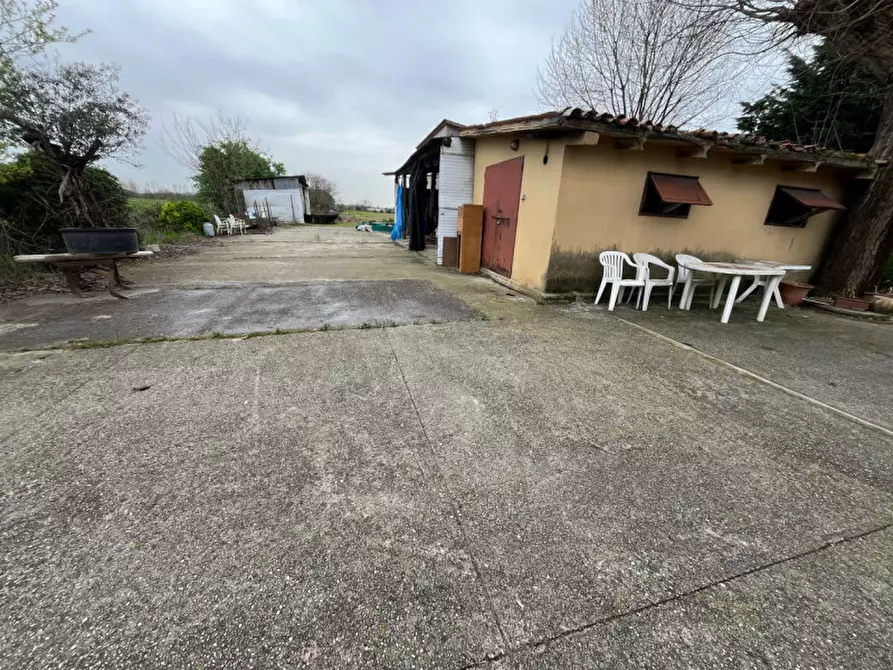 Immagine 5 di Casa indipendente in vendita  in Via Roma a Albignasego