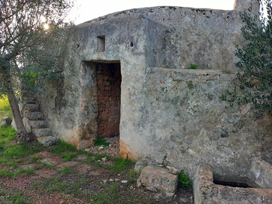 Immagine 1 di Rustico / casale in vendita  in C.da Musone a Ostuni