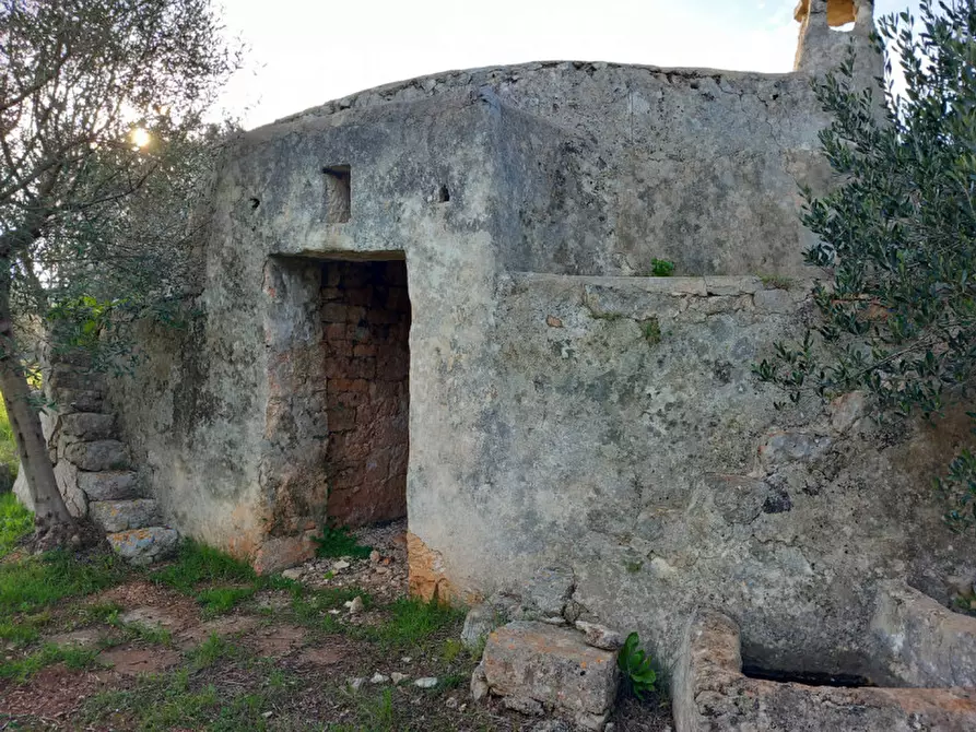 Immagine 2 di Rustico / casale in vendita  in C.da Musone a Ostuni