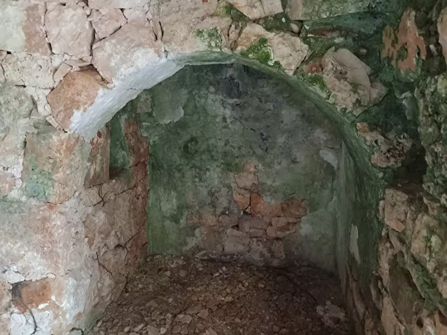 Immagine 6 di Rustico / casale in vendita  in C.da Musone a Ostuni