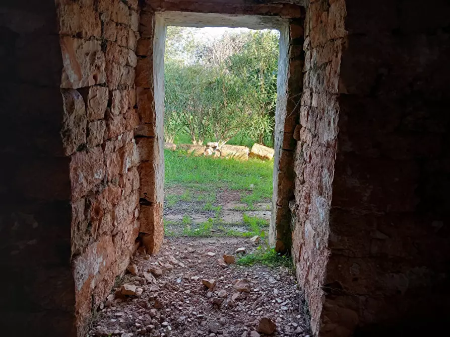 Immagine 7 di Rustico / casale in vendita  in C.da Musone a Ostuni