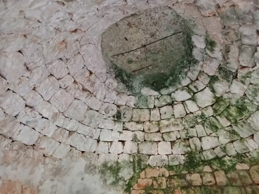 Immagine 8 di Rustico / casale in vendita  in C.da Musone a Ostuni