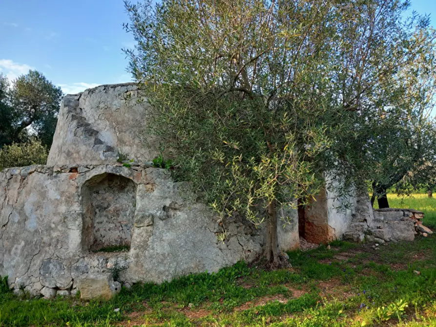 Immagine 9 di Rustico / casale in vendita  in C.da Musone a Ostuni
