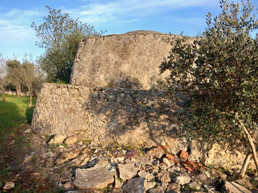 Immagine 11 di Rustico / casale in vendita  in C.da Musone a Ostuni