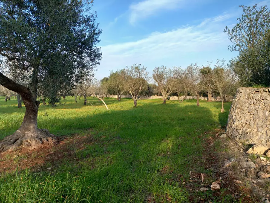 Immagine 12 di Rustico / casale in vendita  in C.da Musone a Ostuni