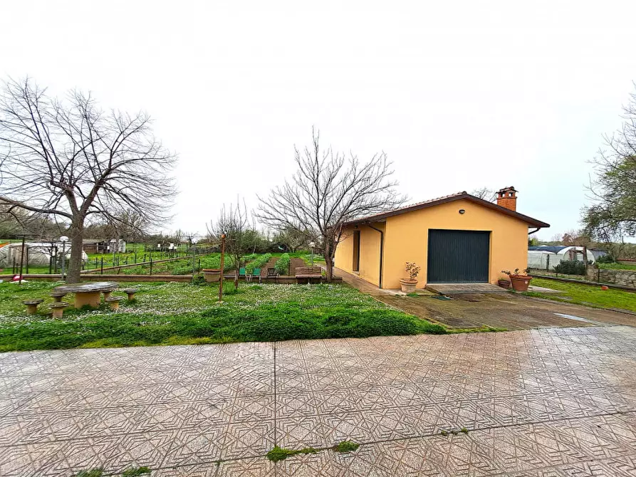 Immagine 3 di Casa indipendente in vendita  a Tuoro Sul Trasimeno