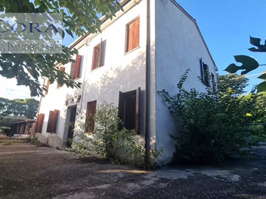 Immagine 5 di Rustico / casale in vendita  in Via Isola Verso Monte a Monselice