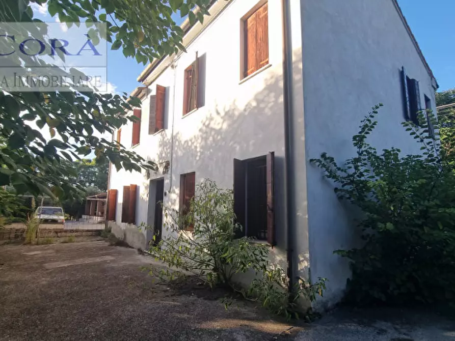 Immagine 22 di Rustico / casale in vendita  in Via Isola Verso Monte a Monselice