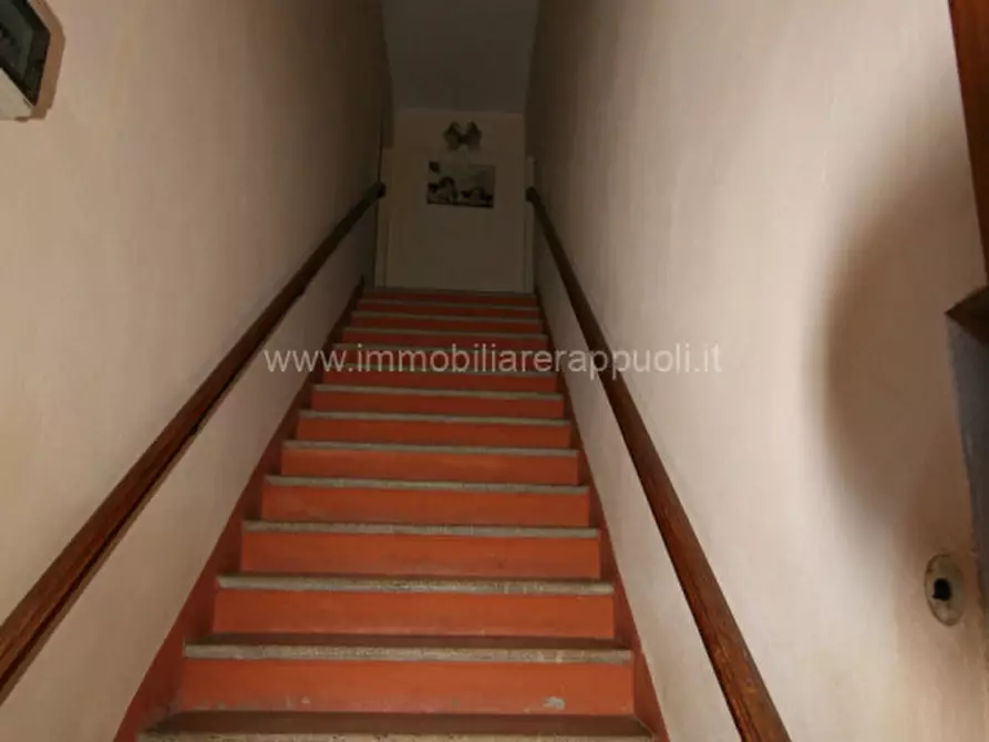 Immagine 8 di Casa indipendente in vendita  a Sinalunga