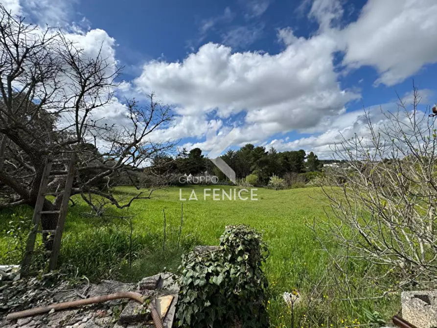 Immagine 4 di Rustico / casale in vendita  in strada chiancaro uno a Martina Franca