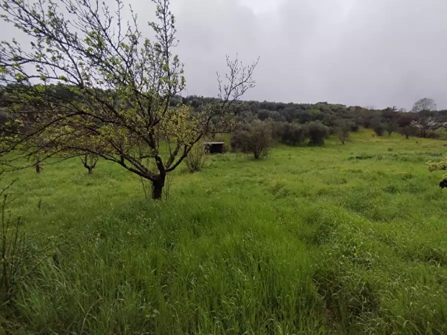 Immagine 1 di Terreno in vendita  in località della pantana a Guidonia Montecelio