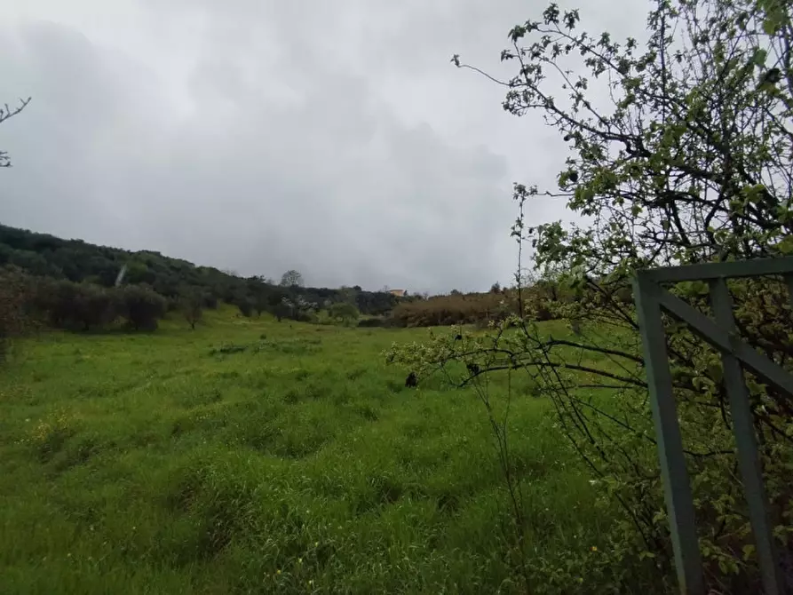 Immagine 2 di Terreno in vendita  in località della pantana a Guidonia Montecelio