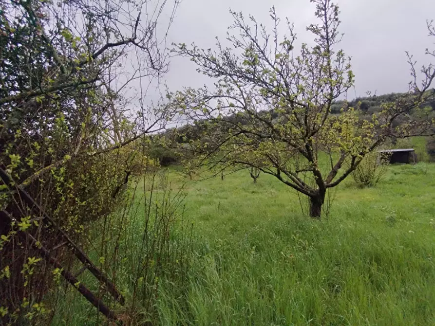 Immagine 3 di Terreno in vendita  in località della pantana a Guidonia Montecelio