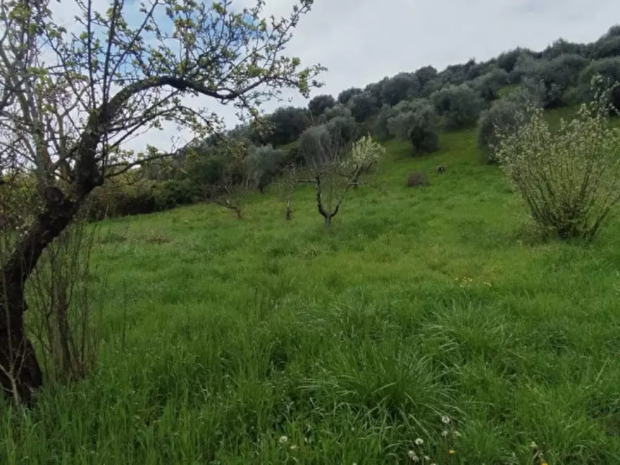 Immagine 4 di Terreno in vendita  in località della pantana a Guidonia Montecelio