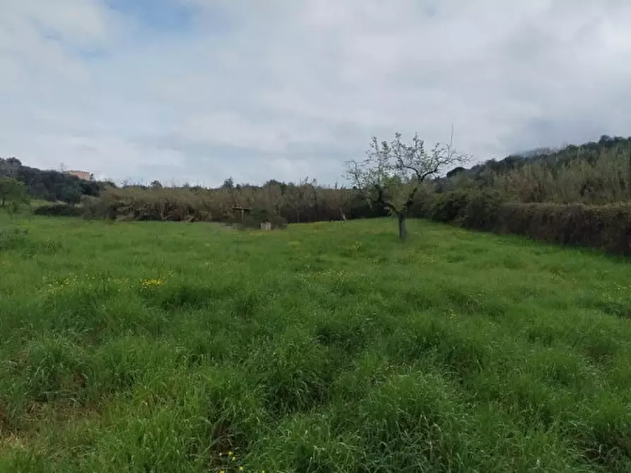 Immagine 5 di Terreno in vendita  in località della pantana a Guidonia Montecelio