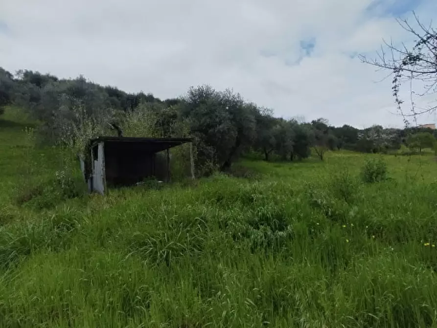 Immagine 7 di Terreno in vendita  in località della pantana a Guidonia Montecelio