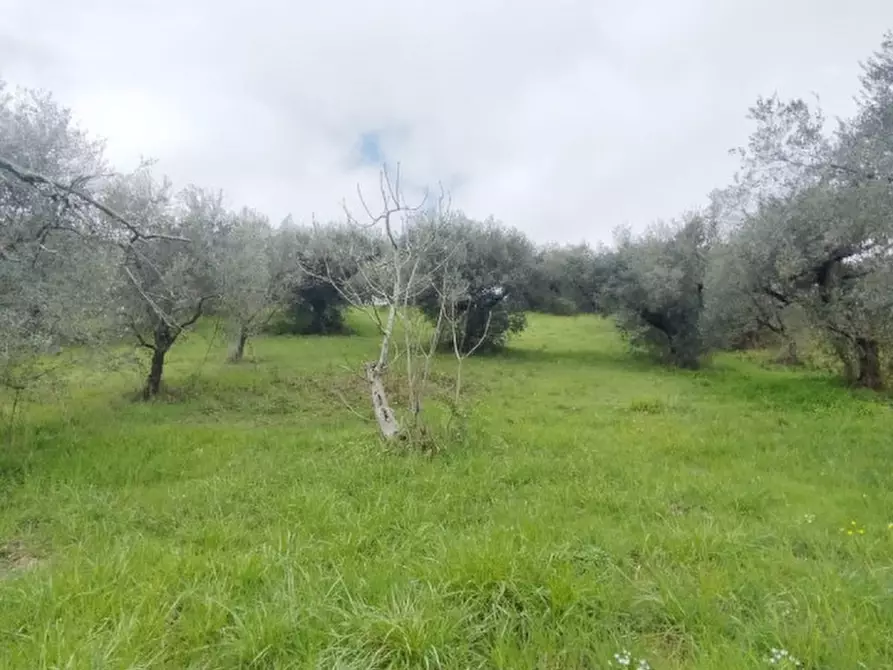 Immagine 9 di Terreno in vendita  in località della pantana a Guidonia Montecelio