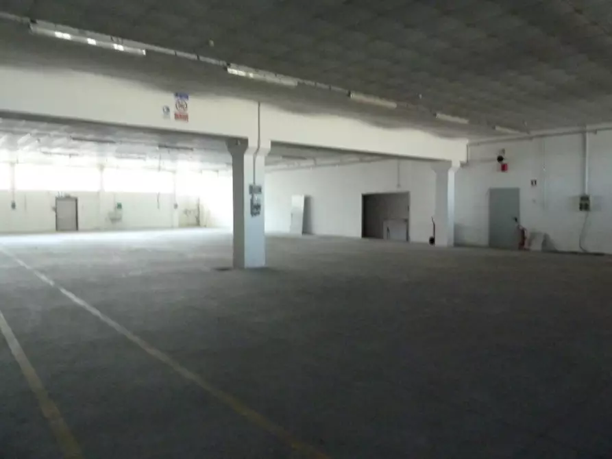 Immagine 3 di Capannone industriale in affitto  in VALLA' DI RIESE PIO X (TV) a Riese Pio x