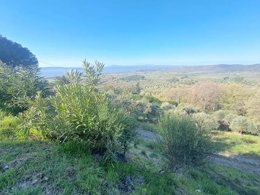 Immagine 12 di Villetta a schiera in vendita  a Tuoro Sul Trasimeno