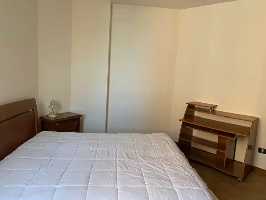 Immagine 36 di Appartamento in vendita  a Suzzara