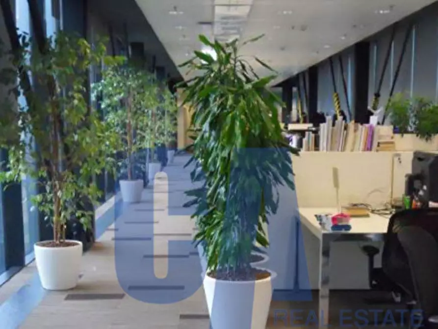 Immagine 3 di Ufficio in affitto  in VIA DEL Bosco Rinnovato a Assago