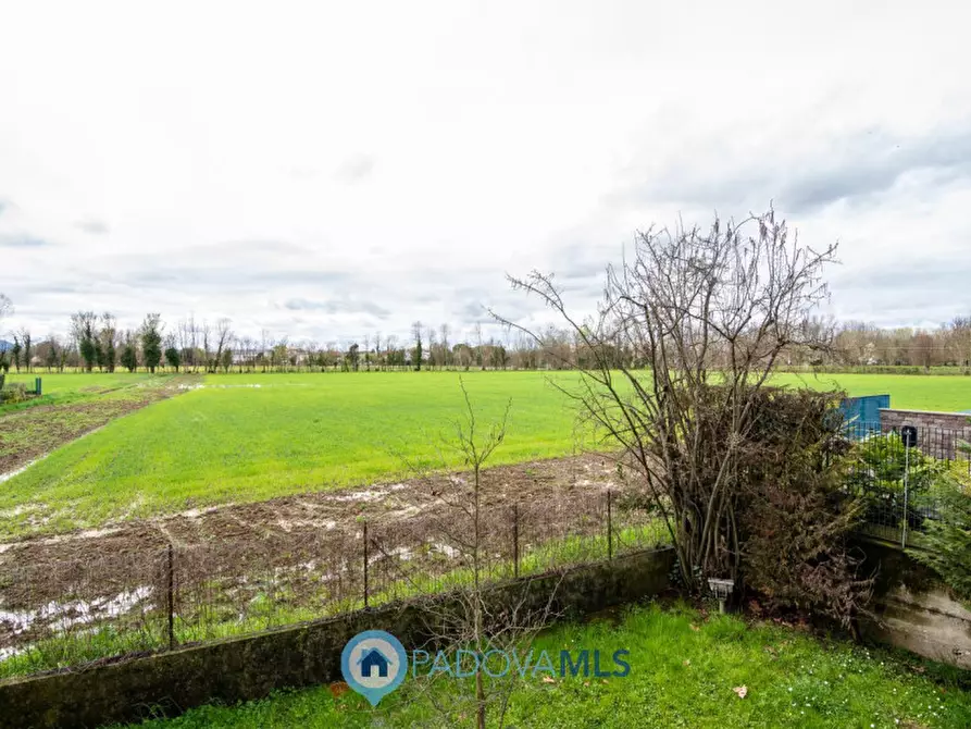 Immagine 13 di Appartamento in vendita  in VIA LUCCA, 25 a Padova