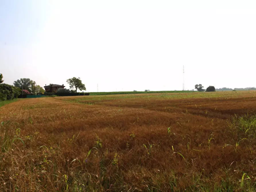 Immagine 1 di Terreno in vendita  in Via Rivella a Monselice