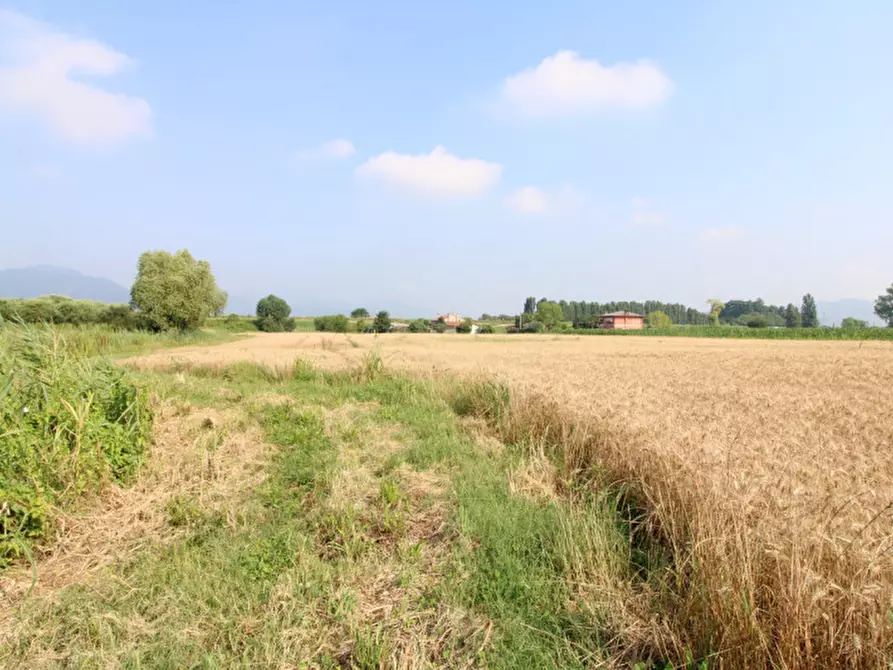 Immagine 3 di Terreno in vendita  in Via Rivella a Monselice