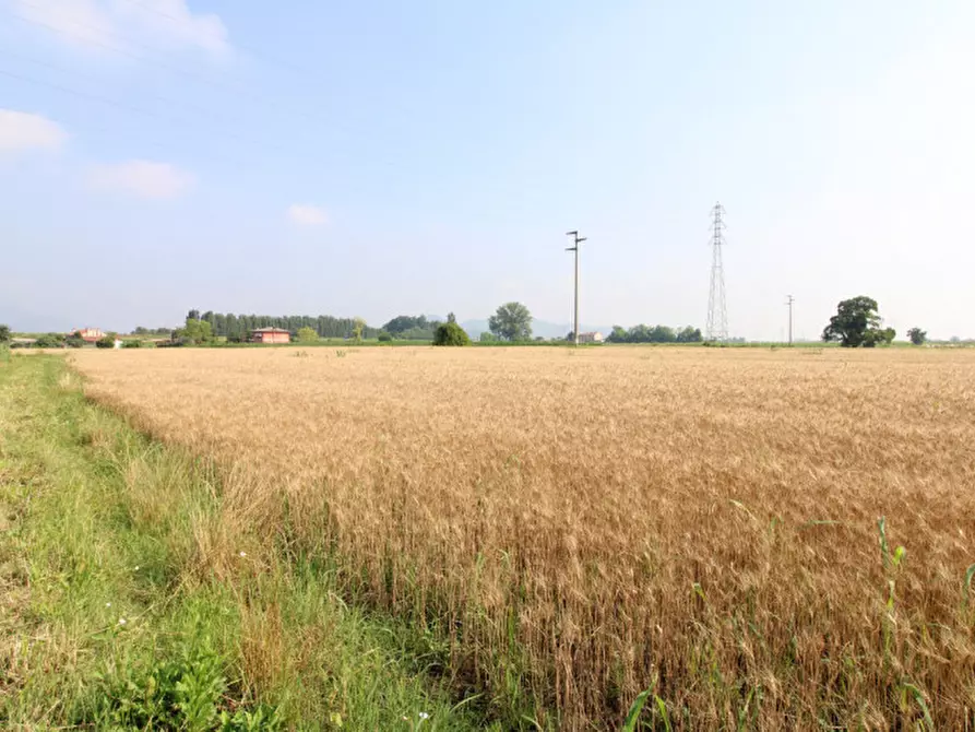 Immagine 4 di Terreno in vendita  in Via Rivella a Monselice