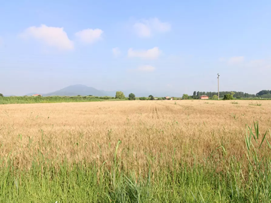 Immagine 5 di Terreno in vendita  in Via Rivella a Monselice