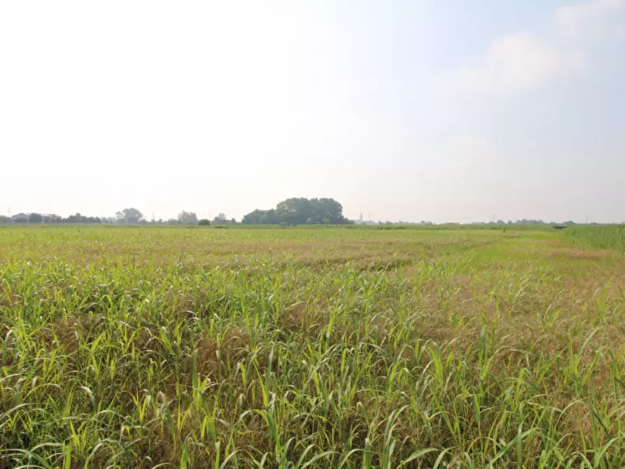Immagine 7 di Terreno in vendita  in Via Rivella a Monselice