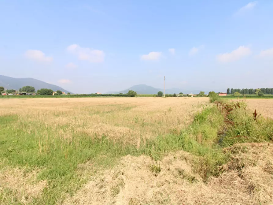 Immagine 8 di Terreno in vendita  in Via Rivella a Monselice