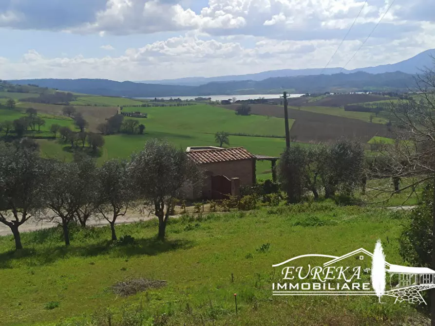 Immagine 25 di Appartamento in vendita  in gioiella a Castiglione Del Lago