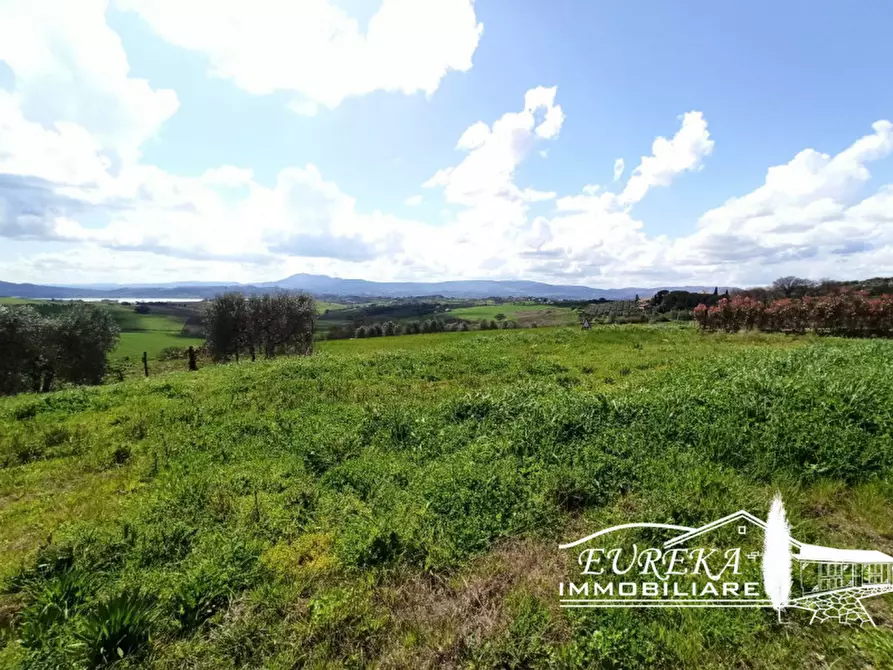 Immagine 31 di Appartamento in vendita  in gioiella a Castiglione Del Lago