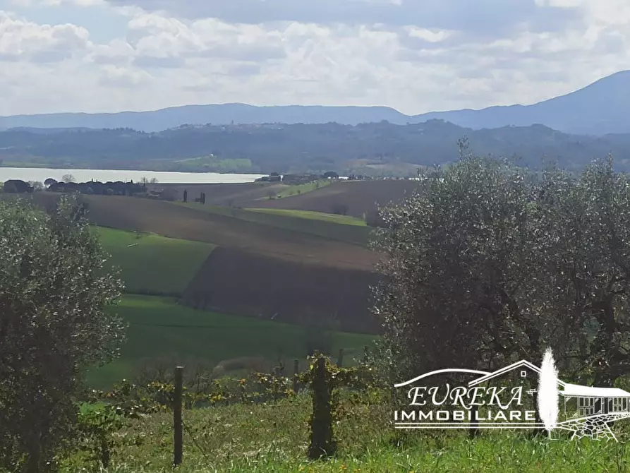 Immagine 35 di Appartamento in vendita  in gioiella a Castiglione Del Lago