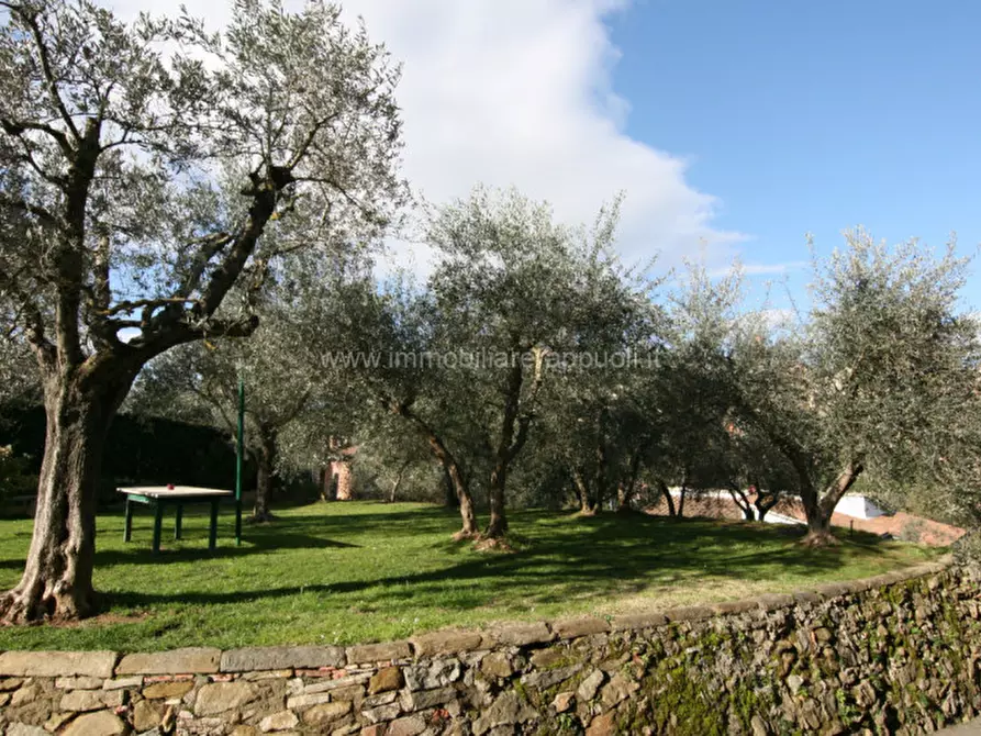 Immagine 19 di Casa indipendente in vendita  a Sinalunga