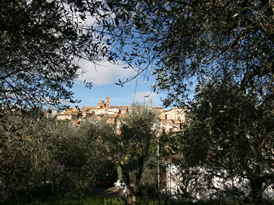 Immagine 24 di Casa indipendente in vendita  a Sinalunga