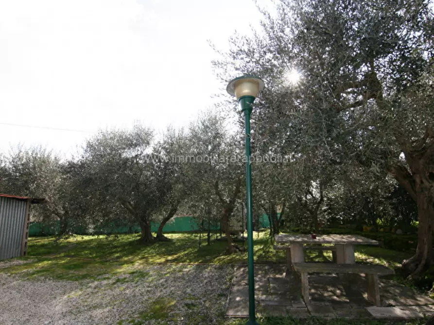 Immagine 29 di Casa indipendente in vendita  a Sinalunga