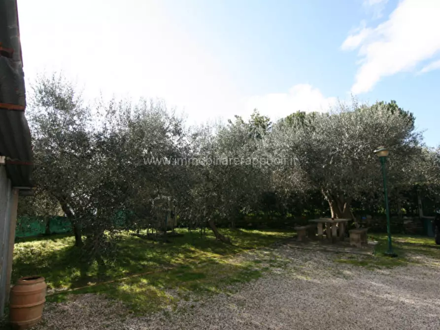 Immagine 31 di Casa indipendente in vendita  a Sinalunga