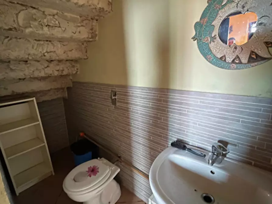 Immagine 8 di Rustico / casale in vendita  a San Benedetto Po