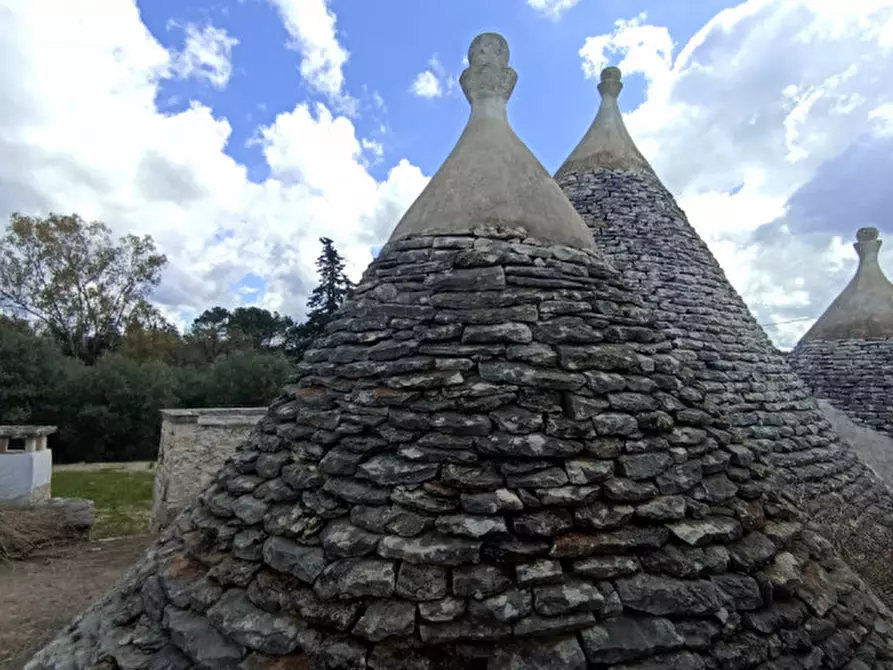Immagine 9 di Rustico / casale in vendita  in LYMEN3 a Ceglie Messapico