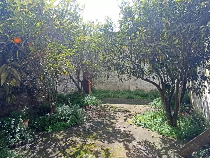 Immagine 15 di Rustico / casale in vendita  in LYMEN3 a Ceglie Messapico