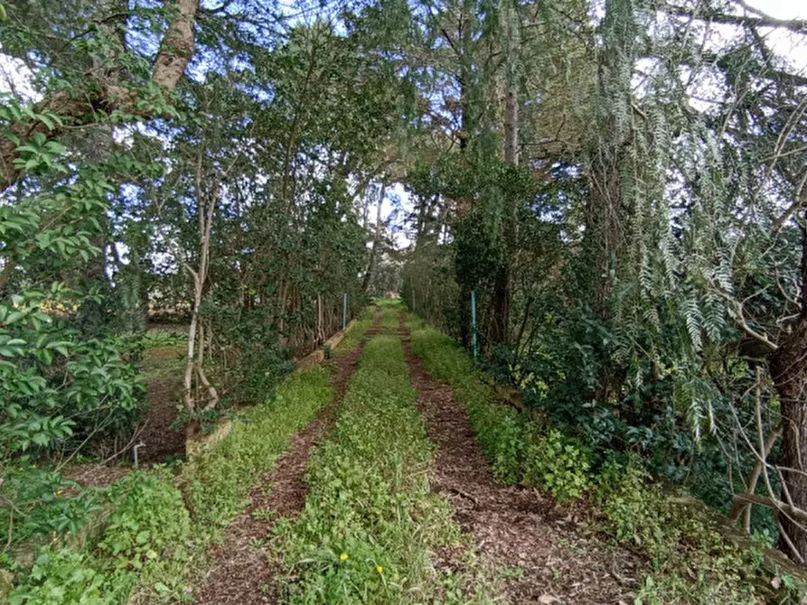 Immagine 44 di Rustico / casale in vendita  in LYMEN3 a Ceglie Messapico