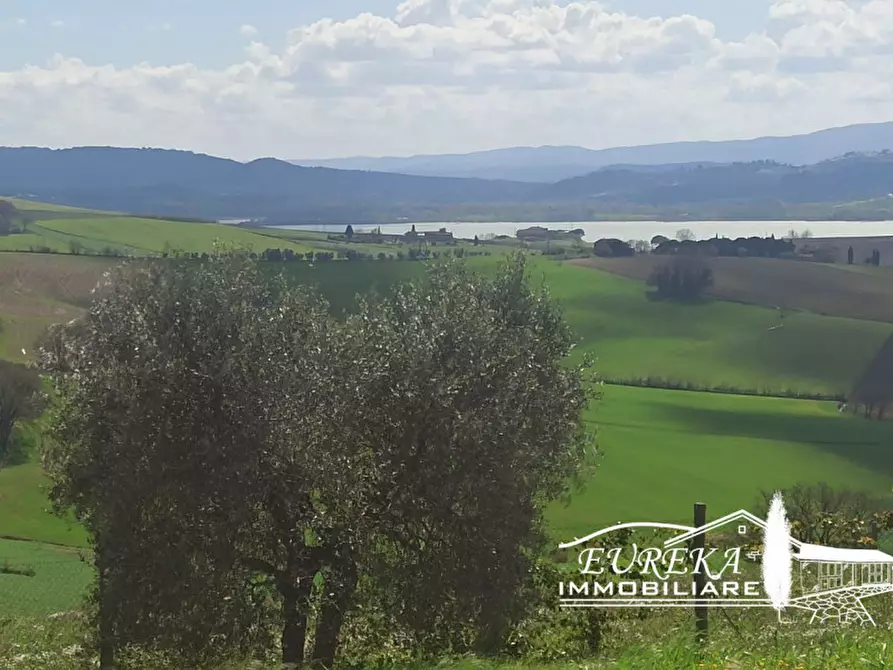 Immagine 33 di Appartamento in vendita  in gioiella a Castiglione Del Lago