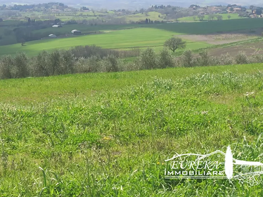 Immagine 35 di Appartamento in vendita  in gioiella a Castiglione Del Lago